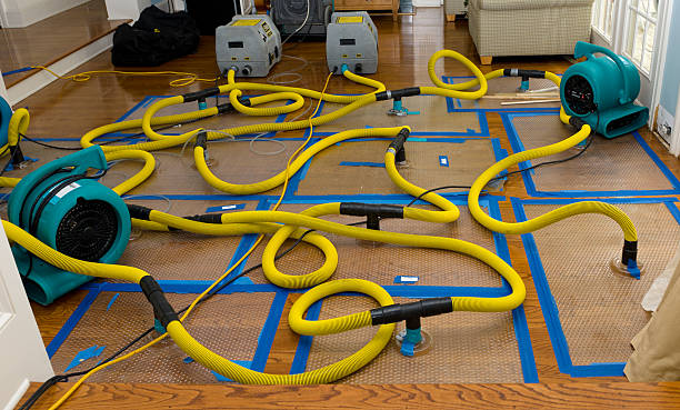 Professional Burst Pipe Water Damage technician working in Haworth, NJ
